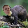 Örnek Resim