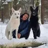Örnek Resim