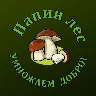 Örnek Resim