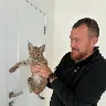 Örnek Resim