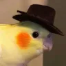 Örnek Resim