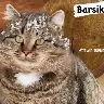 Örnek Resim