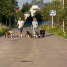 Örnek Resim