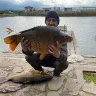 Örnek Resim