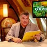 Örnek Resim