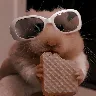 Örnek Resim