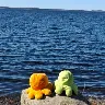 Örnek Resim