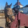 Örnek Resim