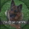 Örnek Resim