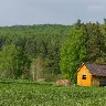 Örnek Resim