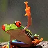 Örnek Resim
