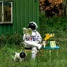 Örnek Resim