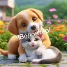 Örnek Resim