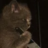 Örnek Resim