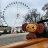 Örnek Resim