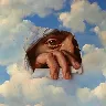 Örnek Resim