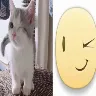 Örnek Resim