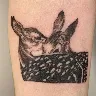 Örnek Resim