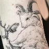 Örnek Resim