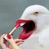 Örnek Resim