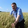 Örnek Resim