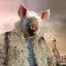 Örnek Resim