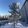 Örnek Resim