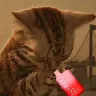 Örnek Resim