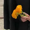 Örnek Resim