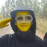 Örnek Resim