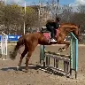 Örnek Resim