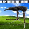 Örnek Resim