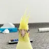 Örnek Resim
