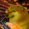 Örnek Resim