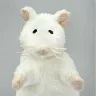 Örnek Resim