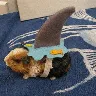 Örnek Resim