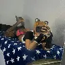 Örnek Resim