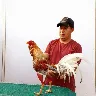 Örnek Resim