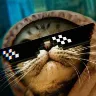 Örnek Resim