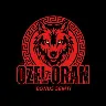 Örnek Resim