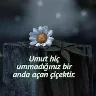 Örnek Resim
