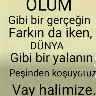 Örnek Resim
