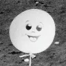Örnek Resim