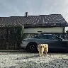 Örnek Resim
