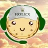 Örnek Resim