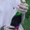 Örnek Resim