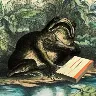 Örnek Resim