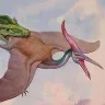 Örnek Resim