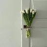 Örnek Resim