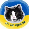 Örnek Resim